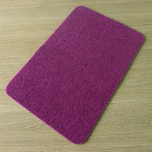 Polyester Non Slip Door Mats DL-WE06